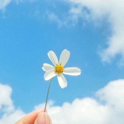 上古神器4测试版